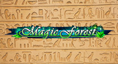 Magic Forest